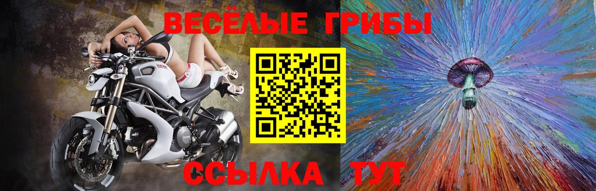 Галлюциногенные грибы прущие грибы  Галлюциногенные грибы прущие грибы  Вход с VPN  Курганинск 