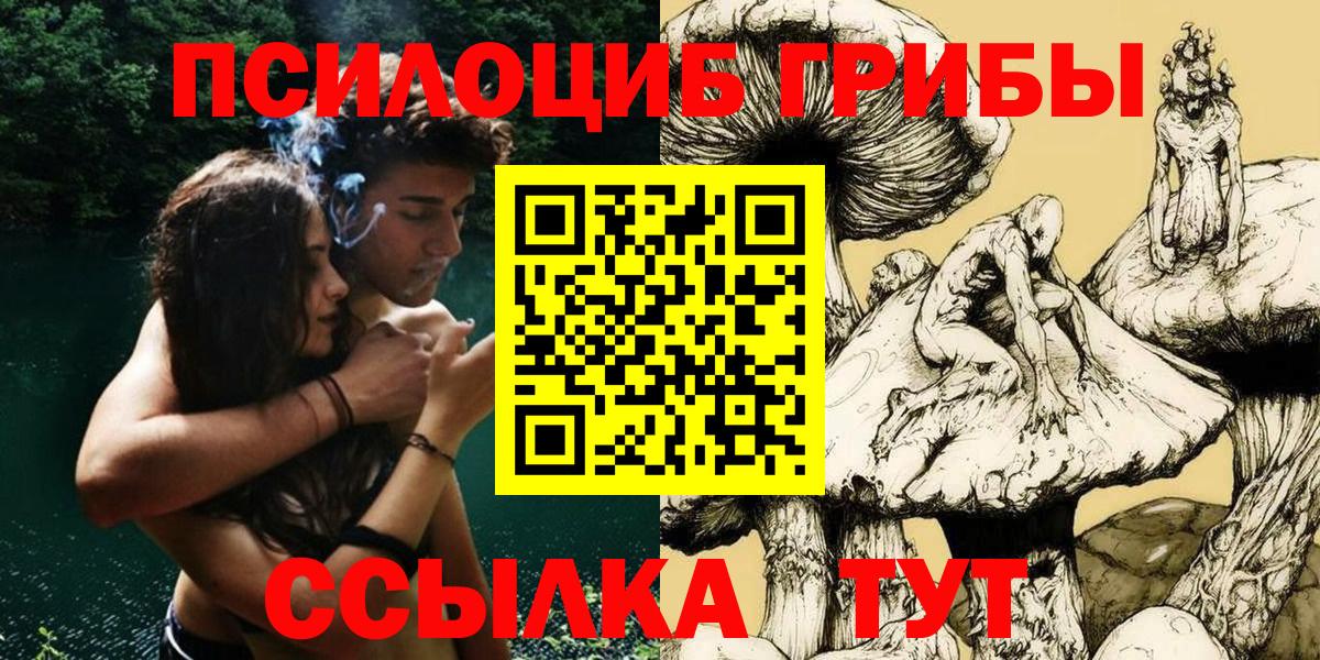 Псилоцибиновые грибы GOLDEN TEACHER Курганинск
